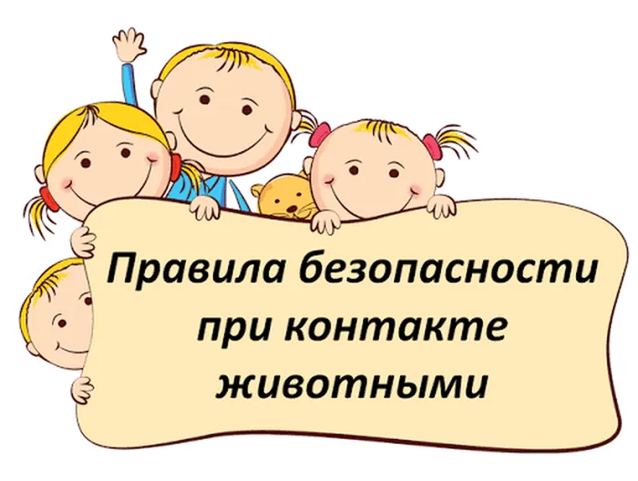 правила