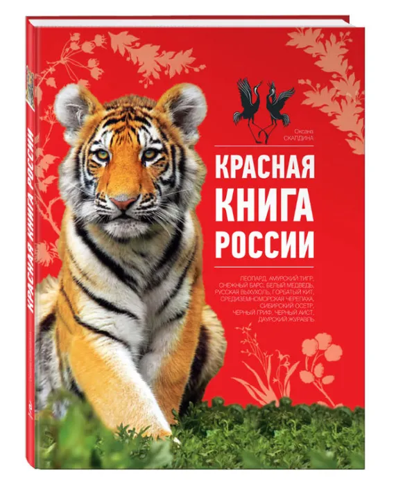 Кр. книга.jpg
