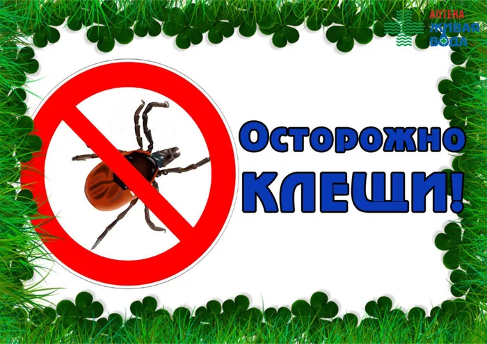 клещщ